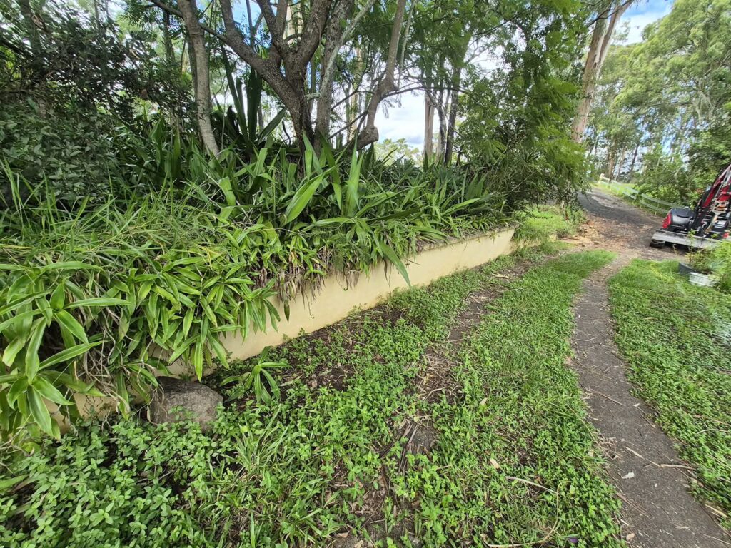 failed brick retaining wall at Pinjarra Hills - before