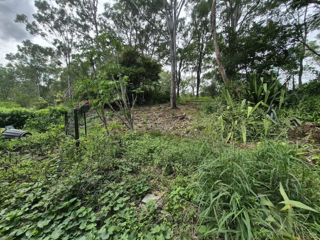 failed brick retaining wall at Pinjarra Hills - before